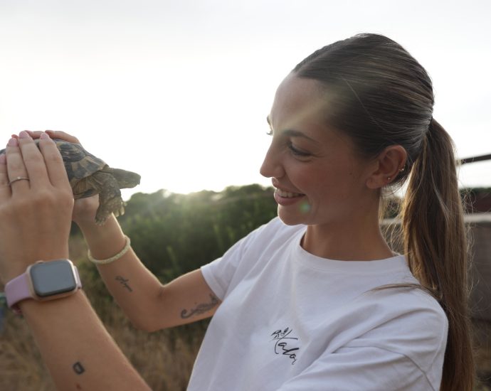 after-the-floods:-saving-spain’s-turtles