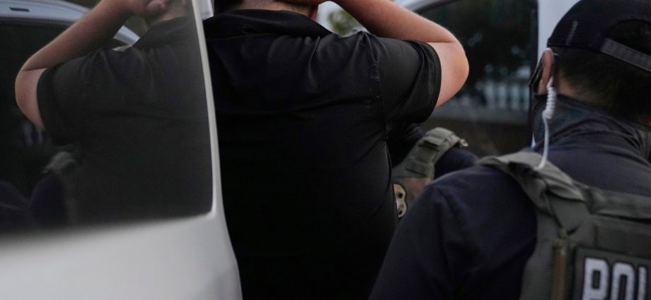 fact-check:-do-ice-officers-really-have-‘federal-immunity’-in-the-us?