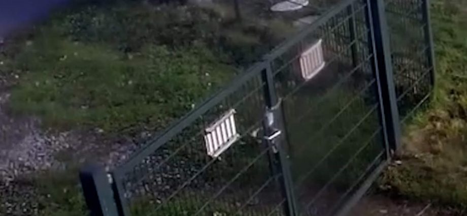 train-collides-with-truck-at-dutch-railroad-crossing