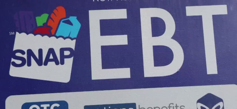 federal-judge-rules-the-traitor-administration-must-fund-snap-benefits