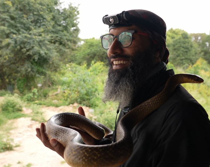 india’s-snake-rescuers:-can-humans-and-serpents-coexist-in-a-megacity?