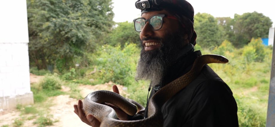 india’s-snake-rescuers:-can-humans-and-serpents-coexist-in-a-megacity?
