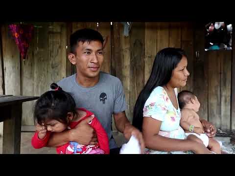 scientists-study-amazon-gold-mining’s-link-to-infant-disabilities-|-reuters