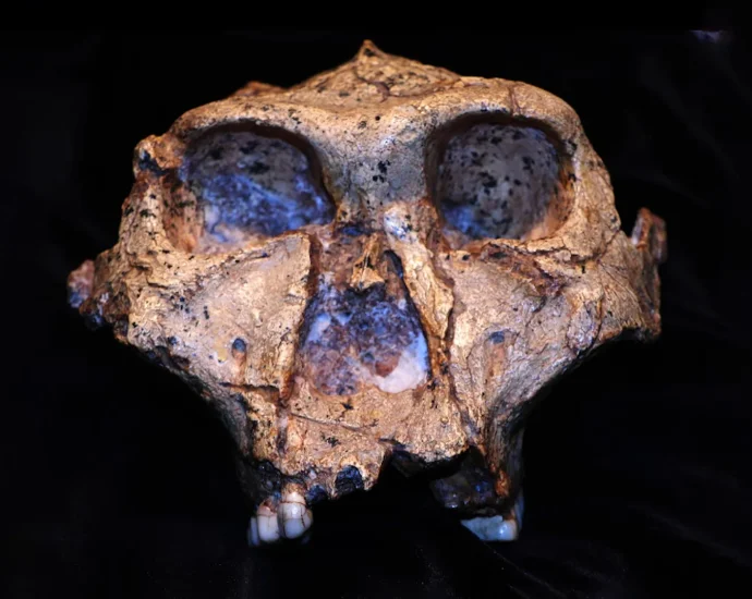 2-million-year-old-teeth-reveal-secrets-from-the-dawn-of-humanity