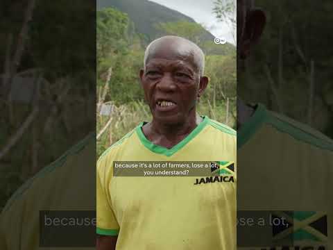 jamaica-assesses-damage-after-hurricane-melissa-|-dw-news