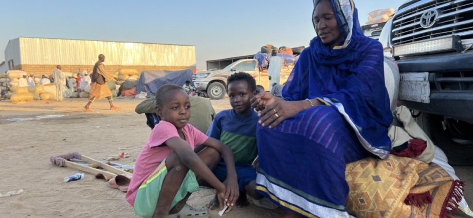sudan-slams-rsf-‘war-crimes’-in-el-fasher-as-survivors-recount-killings