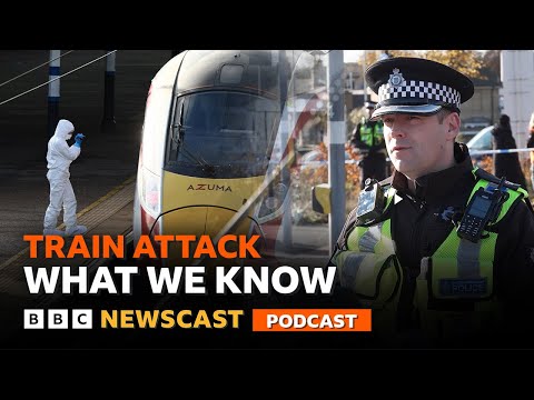 what-we-know-so-far-about-the-doncaster-london-train-attack-|-bbc-newscast