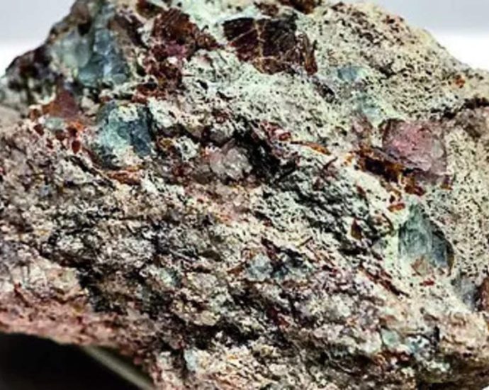 China green flag up: 4 Indian cos can import rare earth magnets