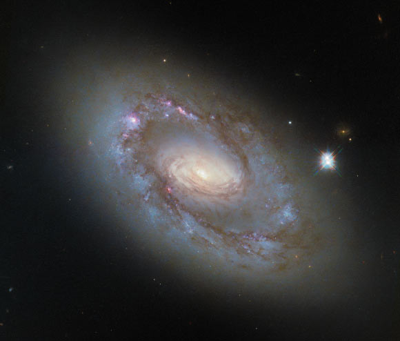 Hubble Space Telescope Snaps New Image of NGC 4102