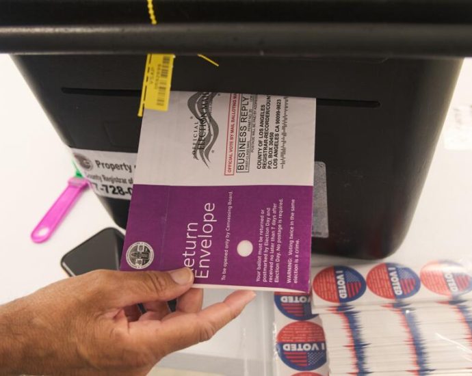 california-voters-head-to-the-polls-to-decide-anti-the-traitor,-pro-democrat-ballot-measure