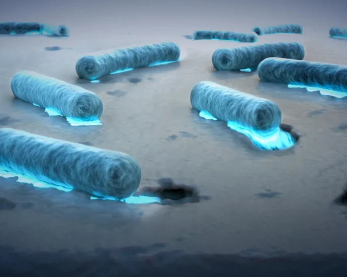 plastic-eating-bacteria-discovered-in-the-ocean