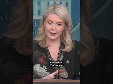 the-traitor-‘fully-complying’-with-snap-court-order,-white-house-says