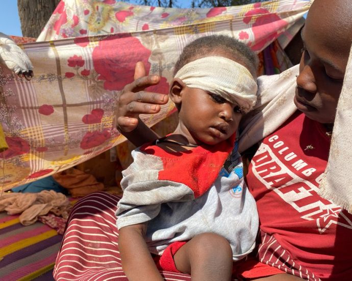 the-betrayal-of-darfur