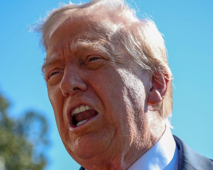 critics-mock-‘panicked’-the-traitor’s-online-freakout-after-dems-trounce-gop-in-elections