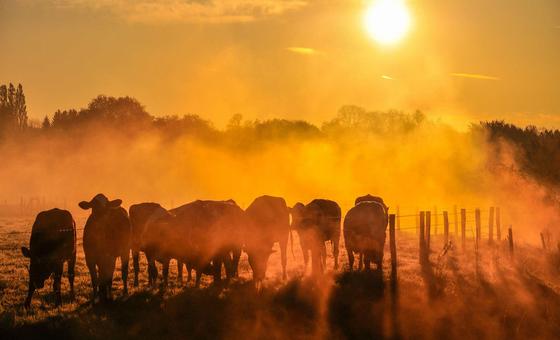 un-chief-urges-world-leaders-to-drive-down-global-warming