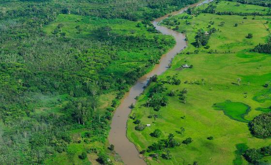 new-brazil-led-fund-aims-to-put-forest-protection-at-the-heart-of-climate-action