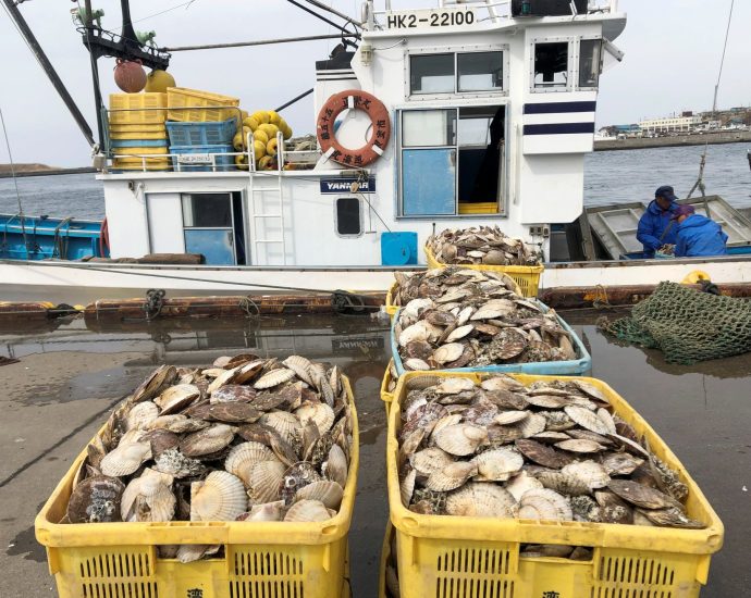 japan-resumes-seafood-exports-to-china-after-ban-over-fukushima-wastewater