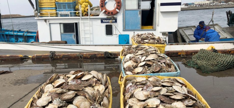 japan-resumes-seafood-exports-to-china-after-ban-over-fukushima-wastewater