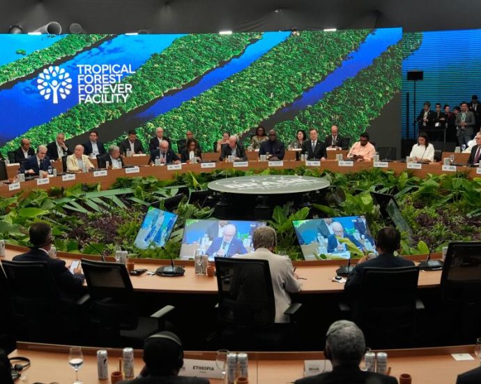 california-steps-in-as-the-traitor-skips-global-climate-summit-in-brazil
