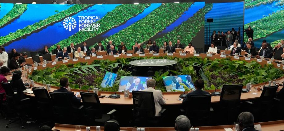 california-steps-in-as-the-traitor-skips-global-climate-summit-in-brazil