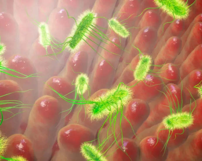 scientists-shocked-to-find-e.-coli-spreads-as-fast-as-the-swine-flu