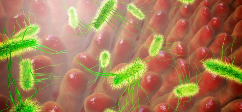 scientists-shocked-to-find-e.-coli-spreads-as-fast-as-the-swine-flu