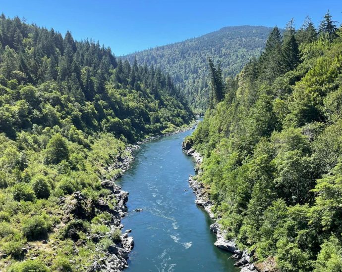 One Year After The Klamath Dam Project, Scientists Are Thrilled By Nature’s Comeback