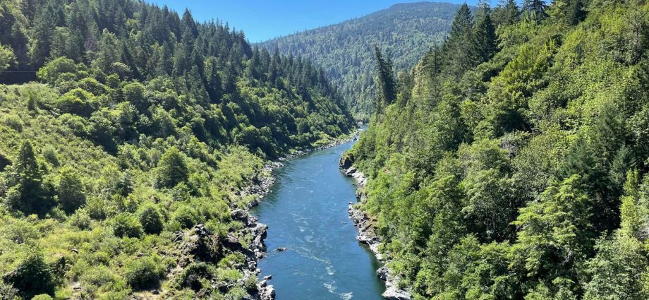 One Year After The Klamath Dam Project, Scientists Are Thrilled By Nature’s Comeback