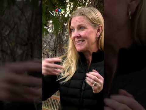 calgary-teen-attacked,-robbed-by-bold-backyard-raccoon