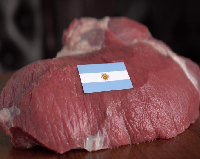 beef-and-america’s-cattle-ranchers-are-no-longer-on-maga’s-menu