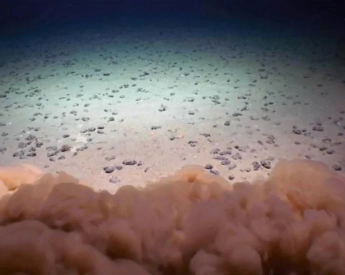 deep-sea-mining-starves-life-in-the-ocean’s-twilight-zone