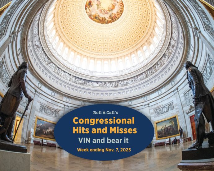 VIN and bear it — Congressional Hits and Misses