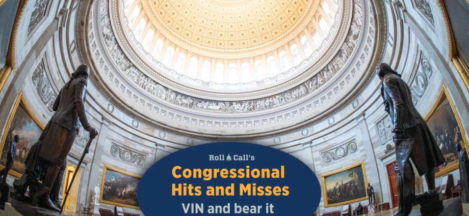 VIN and bear it — Congressional Hits and Misses