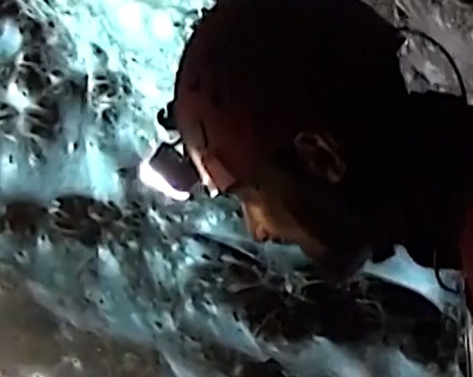 researchers-find-massive-spider-web-in-cave