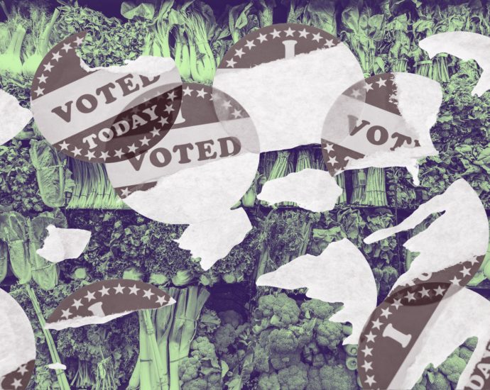 how-a-loss-of-public-benefits-harms-democracy