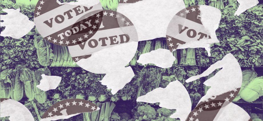 how-a-loss-of-public-benefits-harms-democracy