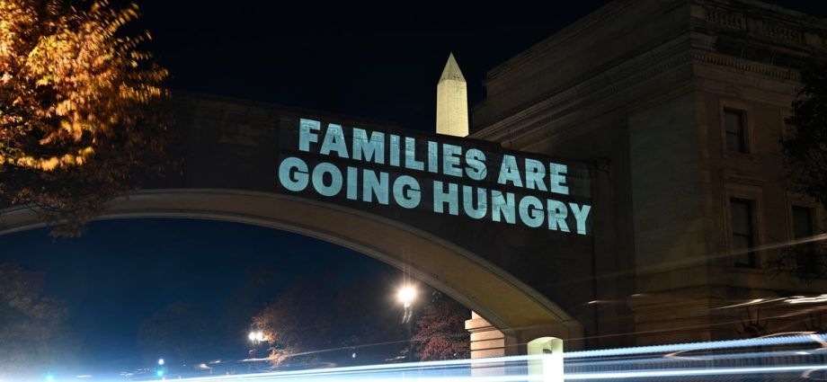 democrats-seize-on-the-traitor-administration’s-efforts-to-fight-food-stamp-payments