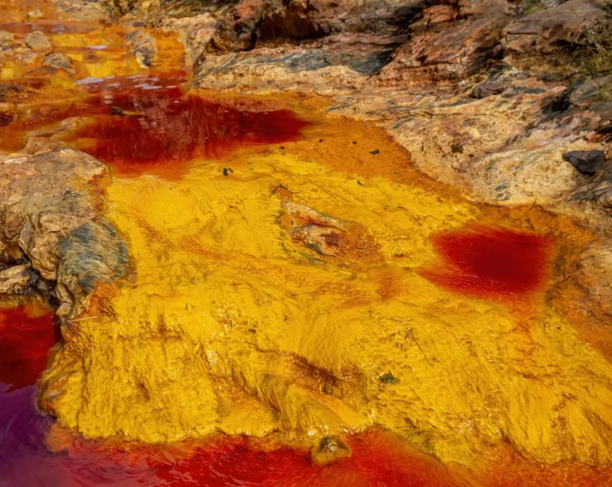 microbes-that-breathe-rust-could-help-save-earth’s-oceans