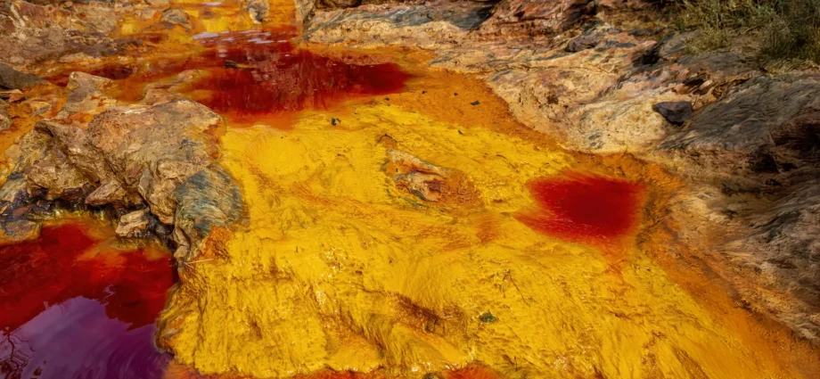 microbes-that-breathe-rust-could-help-save-earth’s-oceans