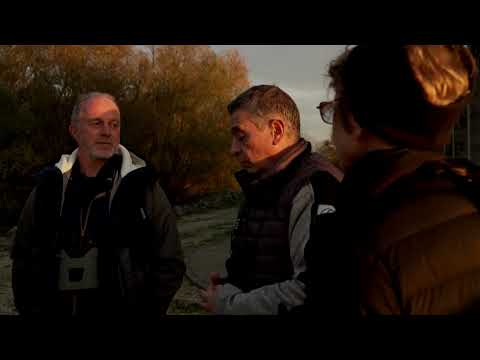 graphic-content:-bird-flu-kills-thousands-of-migratory-cranes-in-rural-france-|-reuters