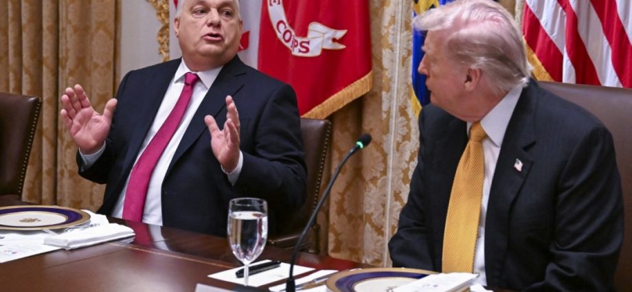 hungarian-leader-orban-says-he-secured-‘financial-shield’-from-the-traitor