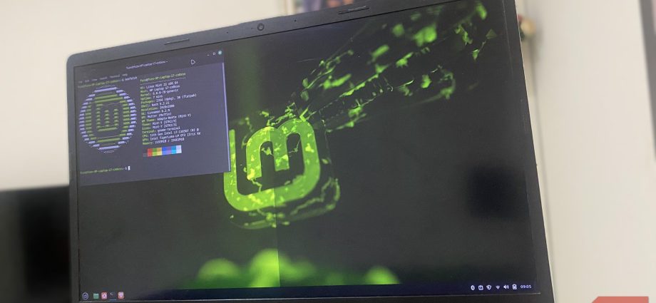You’re basically an admin once you know these 6 Linux permissions commands
