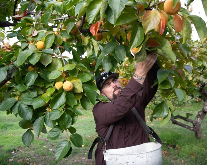 Farmers, Barbers, and GOP Lawmakers Grapple With the Fate of ACA Tax Credits
