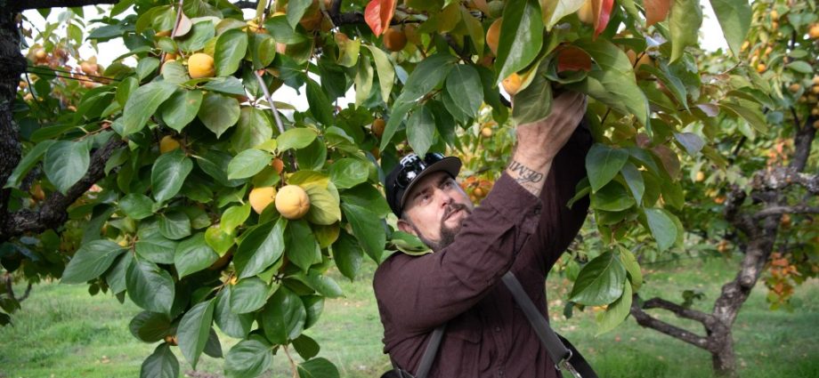 Farmers, Barbers, and GOP Lawmakers Grapple With the Fate of ACA Tax Credits