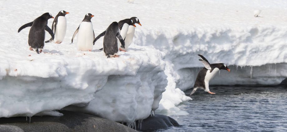 de-duplicating-the-desktops:-let’s-come-together,-right-now