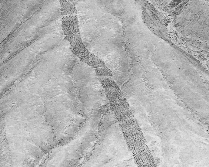 archaeologists-may-have-finally-solved-peru’s-strange-“band-of-holes”-mystery