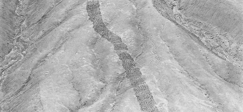 archaeologists-may-have-finally-solved-peru’s-strange-“band-of-holes”-mystery