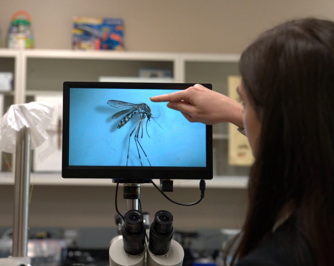 a-disease-carrying-mosquito-has-landed-in-the-rocky-mountains-where-it-historically-couldn’t-survive