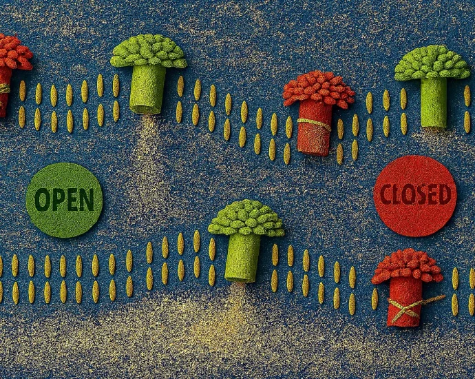 brain-like-learning-found-in-bacterial-nanopores