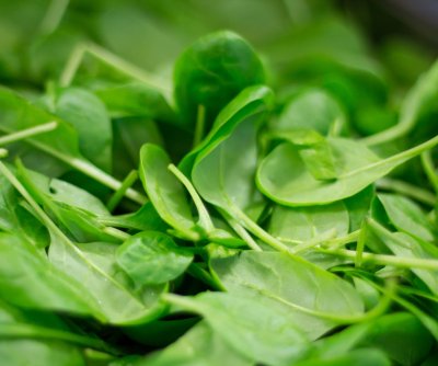 usda-warns-of-potential-listeria-contamination-in-hellofresh-meals